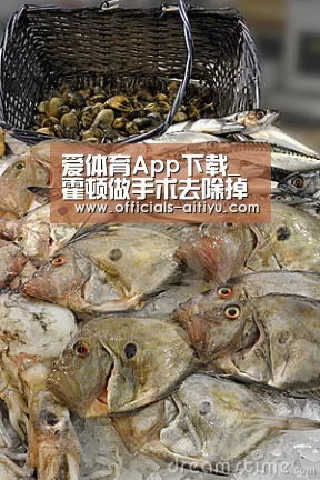 爱体育App下载