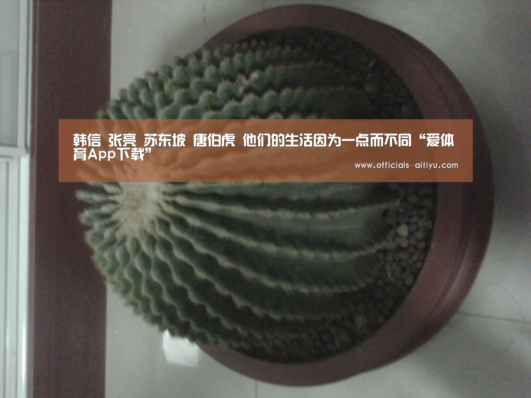 爱体育App下载